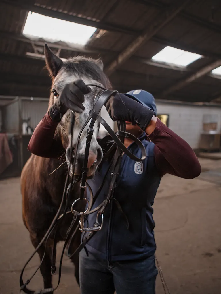 Rider bridling a horse in the yard